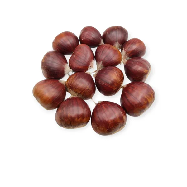 Chestnut 1000g