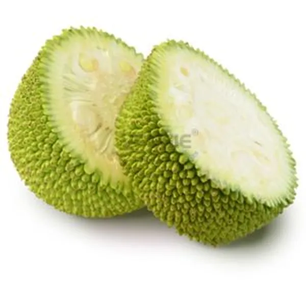 Young Jackfruit Slices in Tray 500g