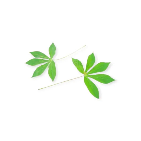 Cassava Leaves 500g