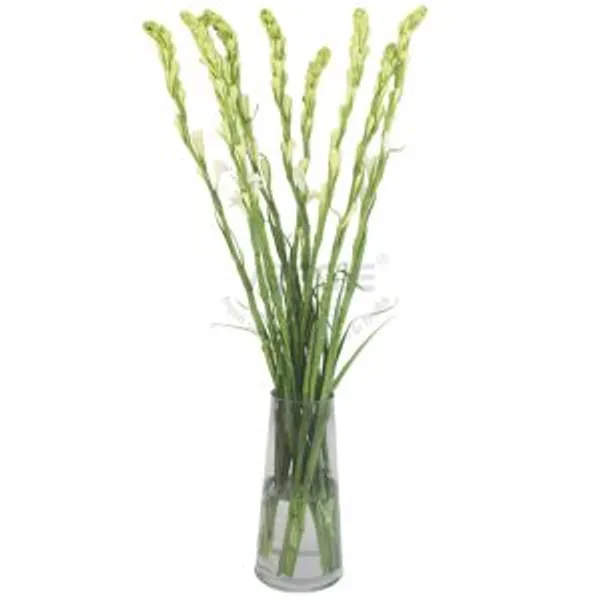 Agave Amica Flower Purple 10pcs/bunch