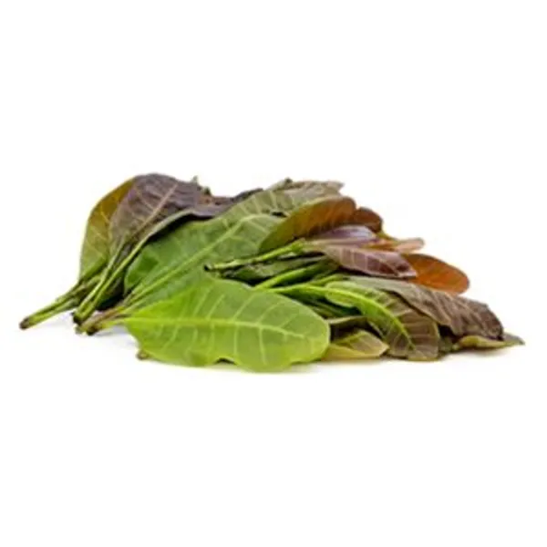 Cashew Leaves 200g