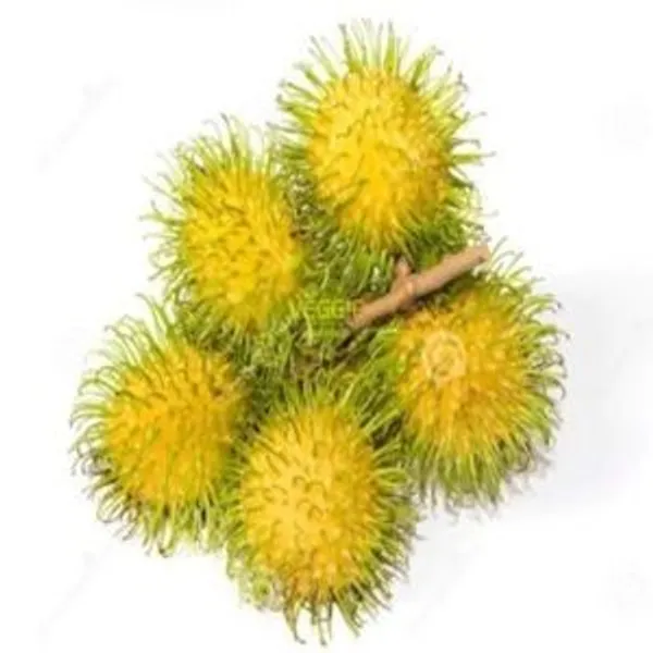 Chôm Chôm Nhãn Việt Nam 500g