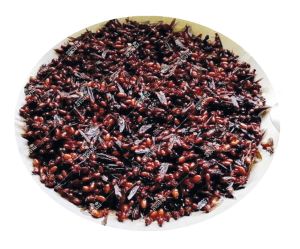 Mod Daeng - Ground Black Ants Egg 500g