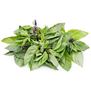 Sweet Basil/holapa 100g