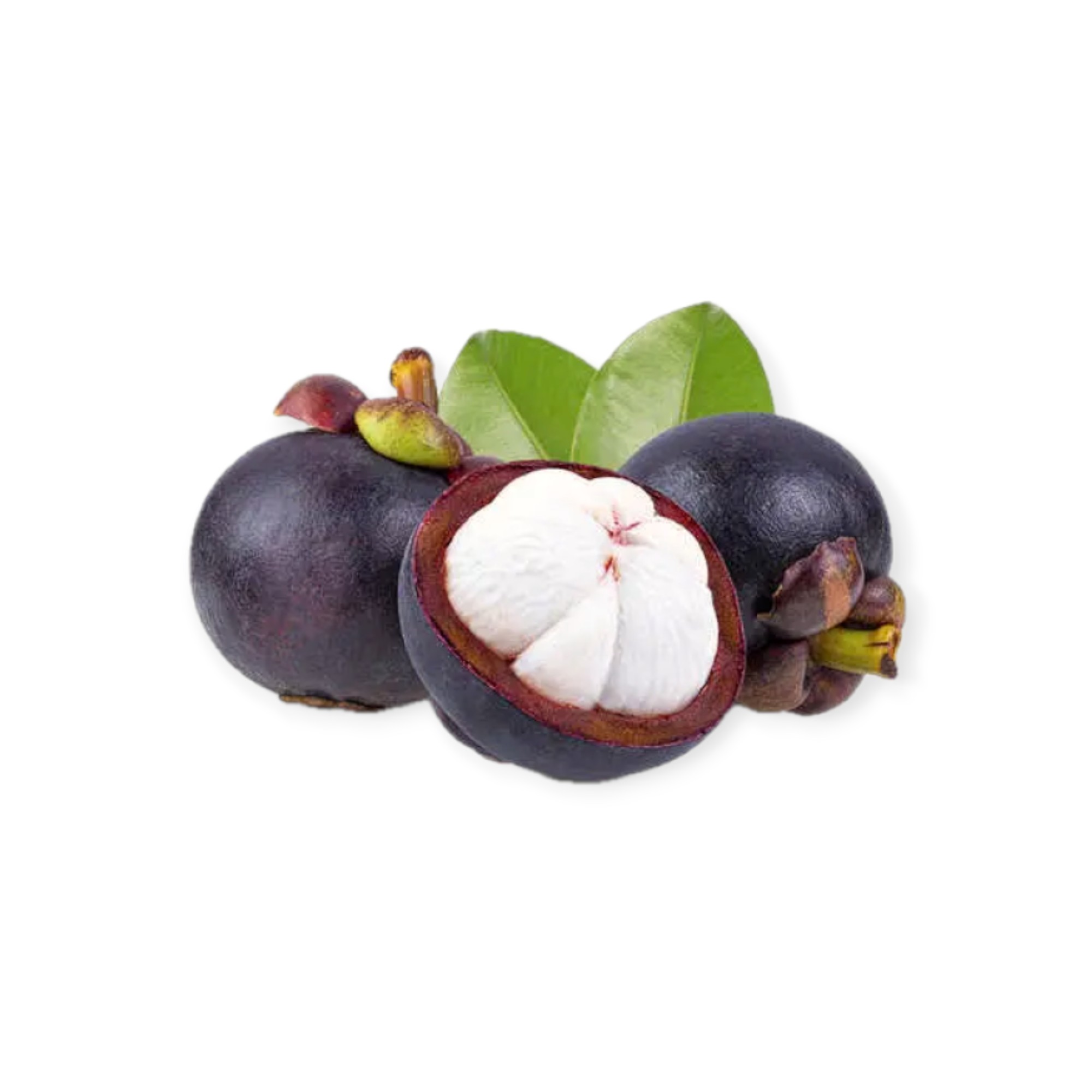 Mangosteen in Tray 500g