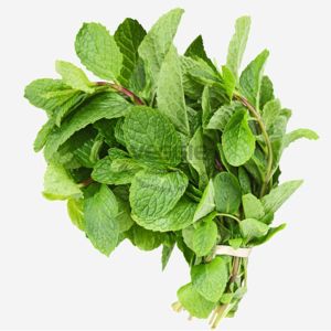 Peppermint 100g