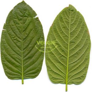 Kratom Leaf 400g