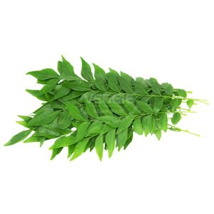 Curry Leaves 100g